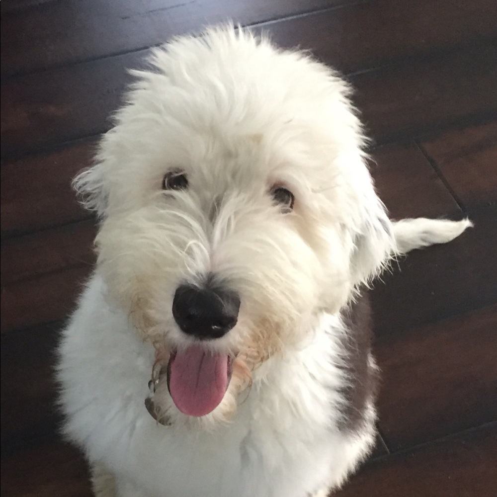 Meet your Posher, Christine